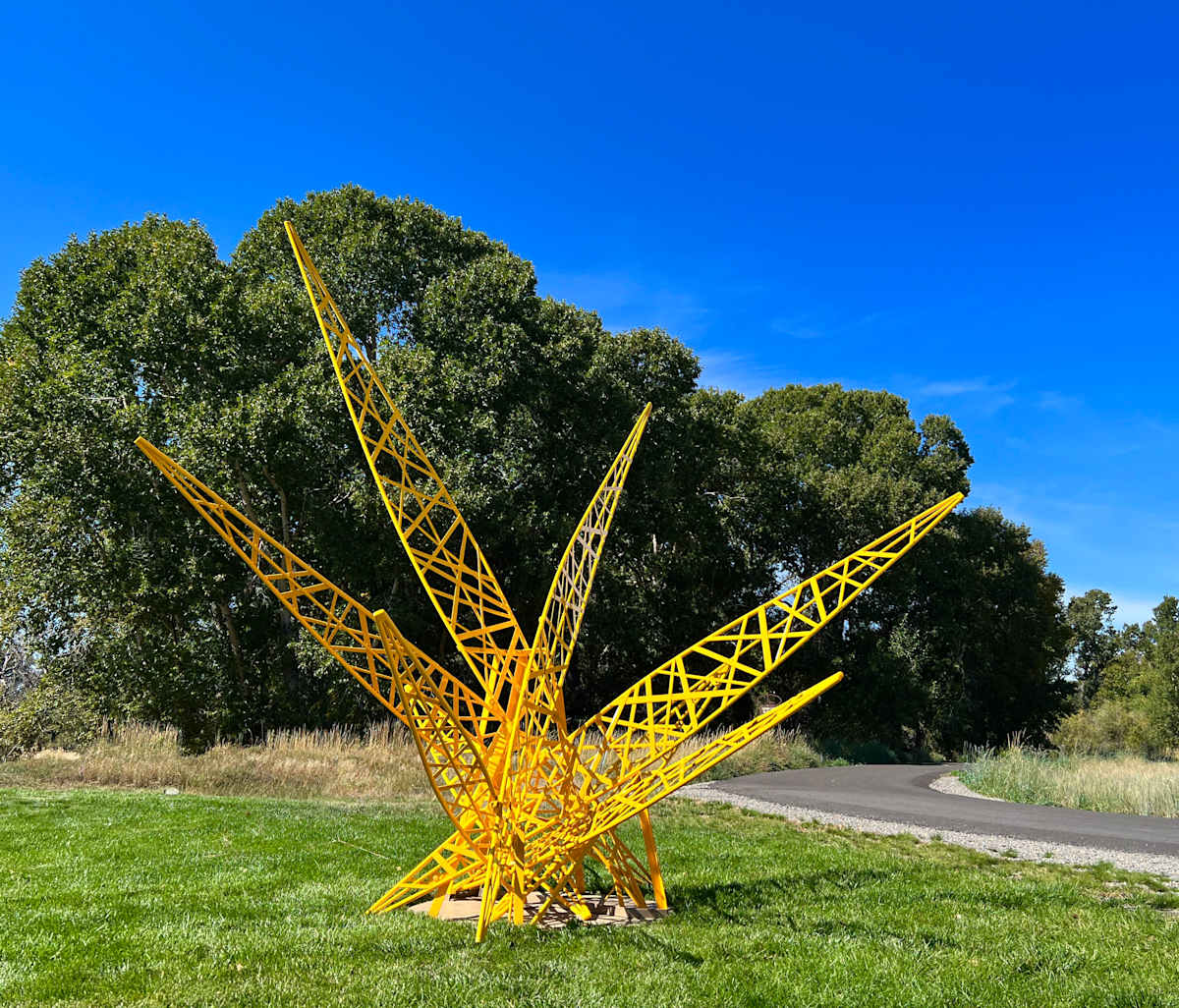 Star Nimbus by Jessica Kay Bodner, Image 1.
