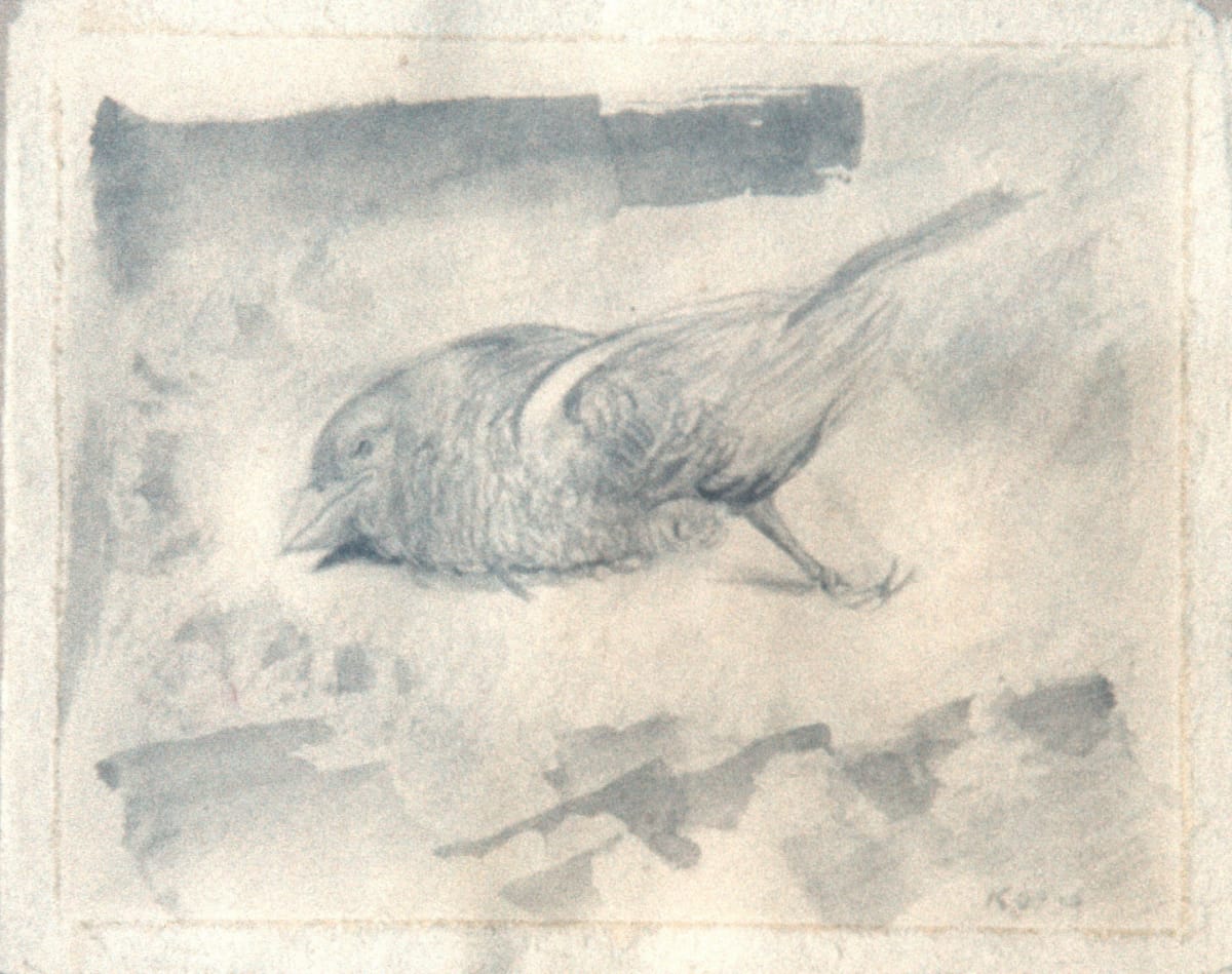 Dead Bird by Keisho Okayama 