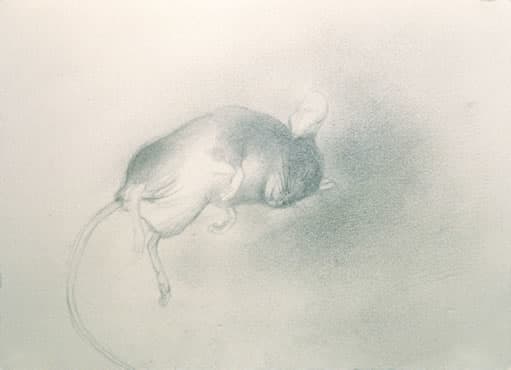 Untitled by Keisho Okayama 