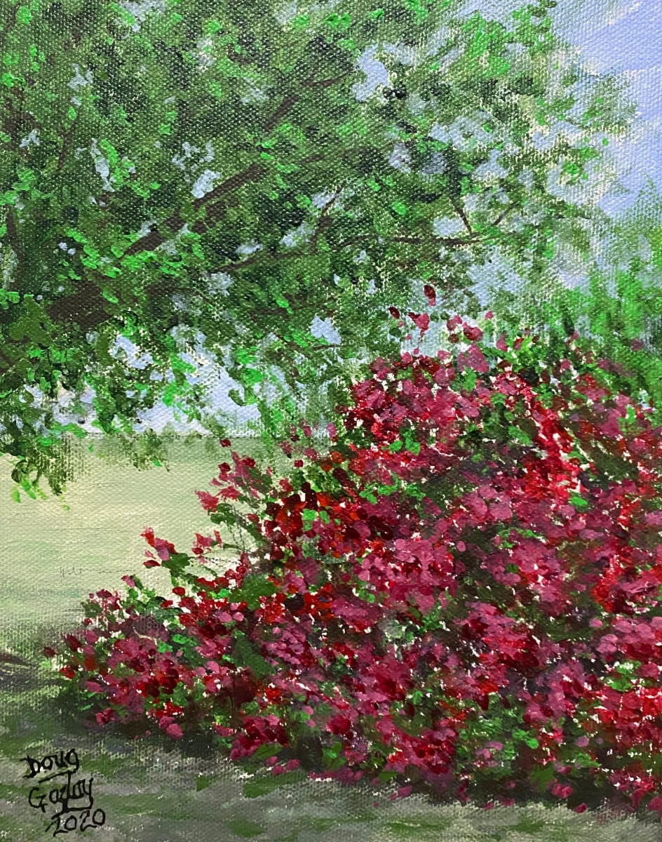 AZALEAS (Given as prize) by Doug Gazlay  Image: AZALEAS