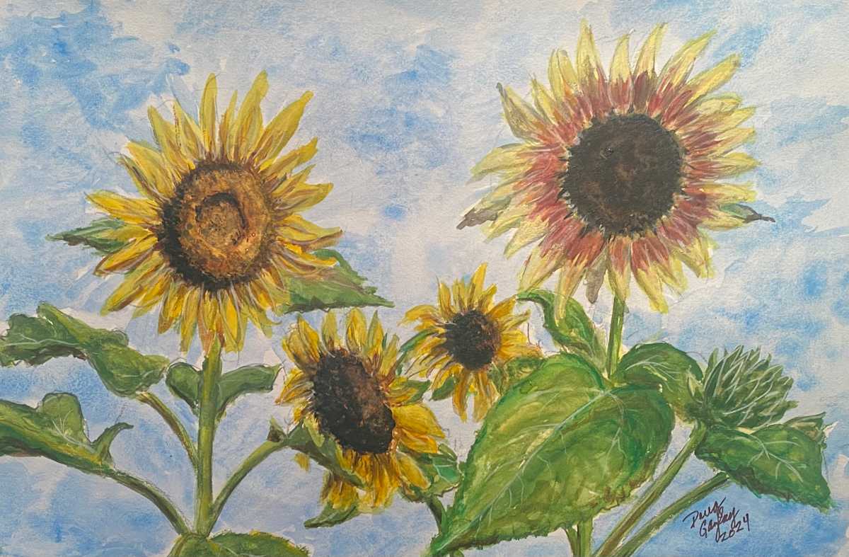 SUNFLOWERS IN WATERCOLOR by Doug Gazlay 