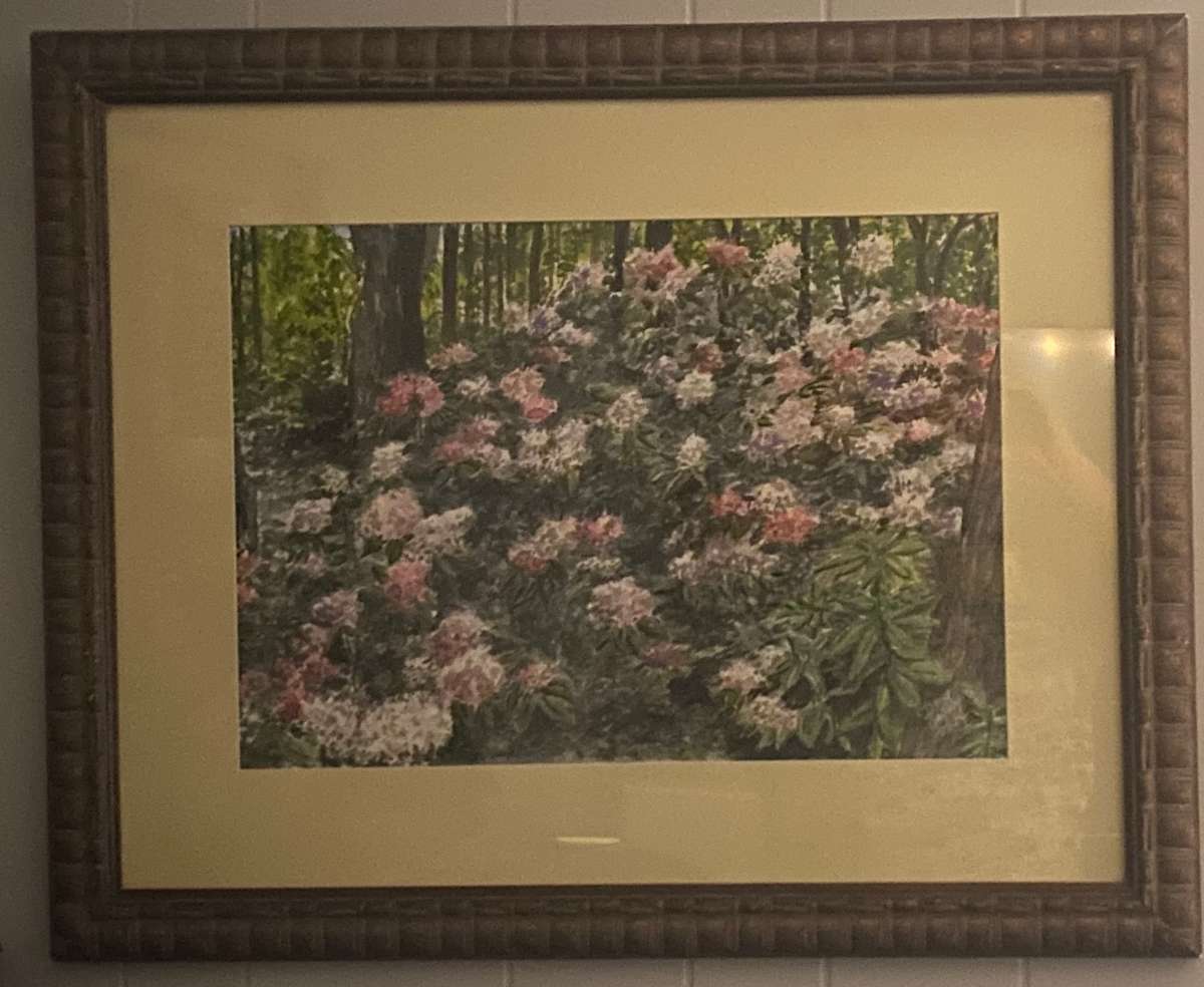 RHODODENDRONS AT GIBBS GARDENS by Doug Gazlay 