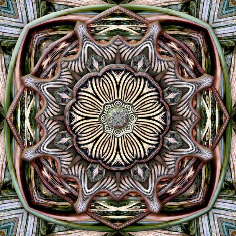 Fallen Frond by Karen Hochman Brown 