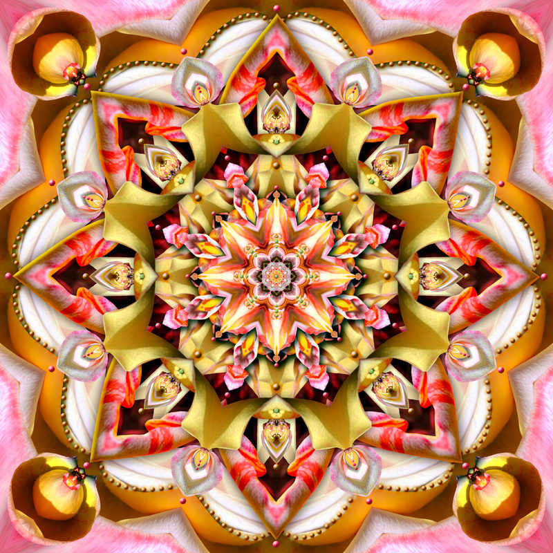 Fiesta Rosa by Karen Hochman Brown 