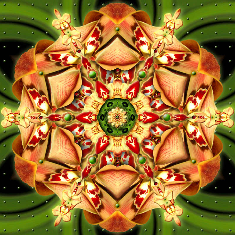 Orchids In Play by Karen Hochman Brown 