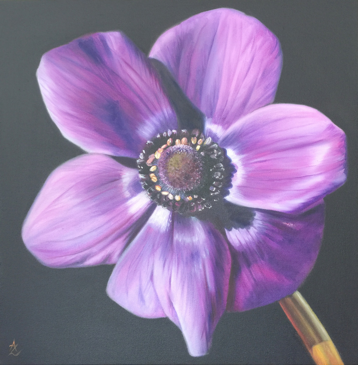 Anemone by Anne-Marie Zanetti 