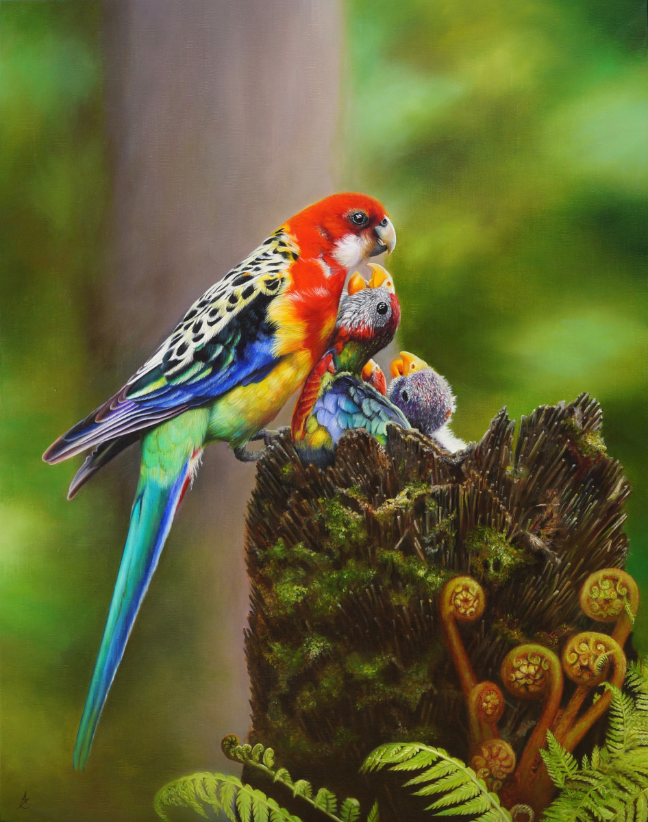 Eastern Rosella commission by Anne-Marie Zanetti 