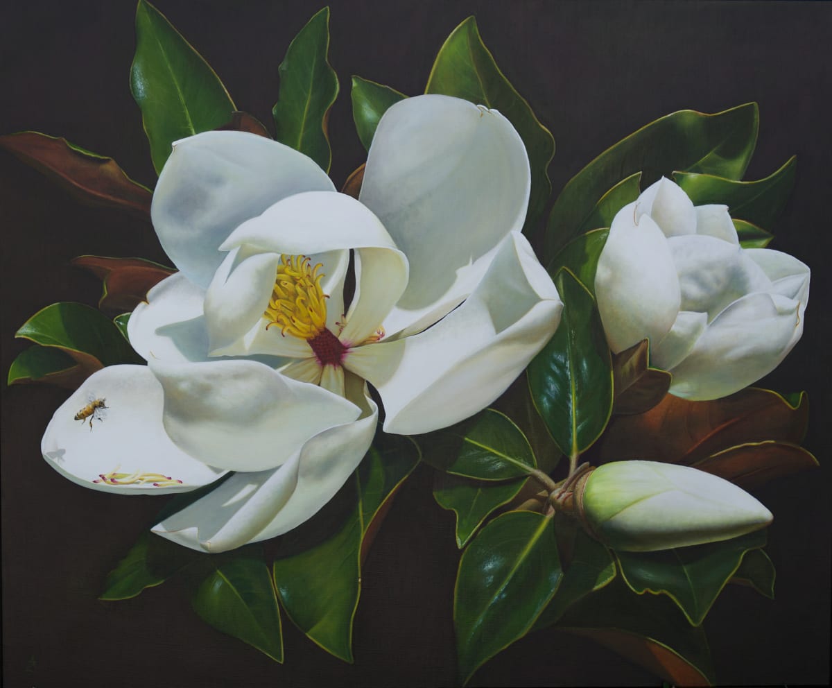 Magnolia Blooming by Anne-Marie Zanetti 