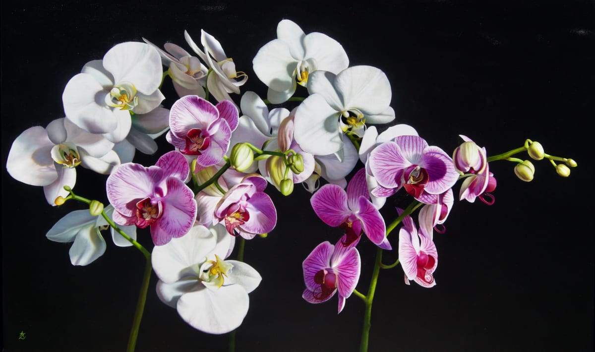 Orchid Landscape 