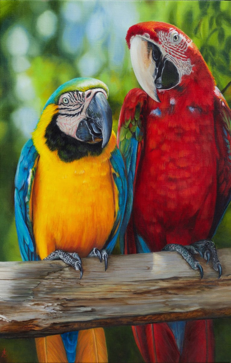 Up Close and Personal by Anne-Marie Zanetti 