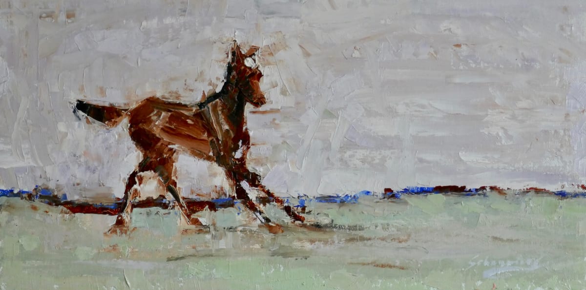 Freedom by Debra Schaumberg 