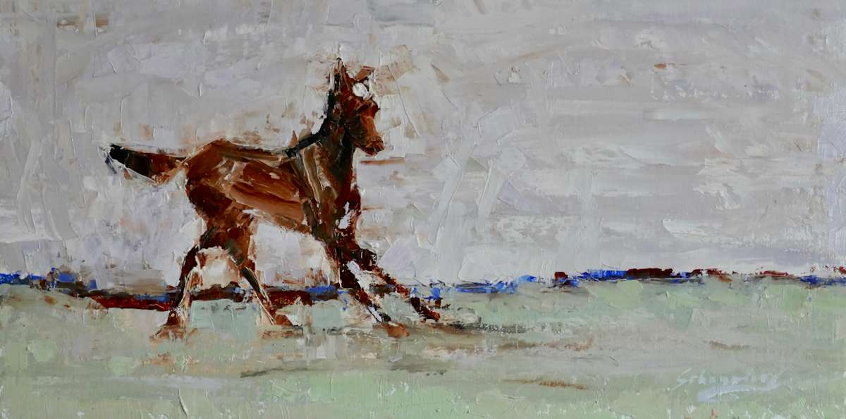 Freedom by Debra Schaumberg, Image 1.