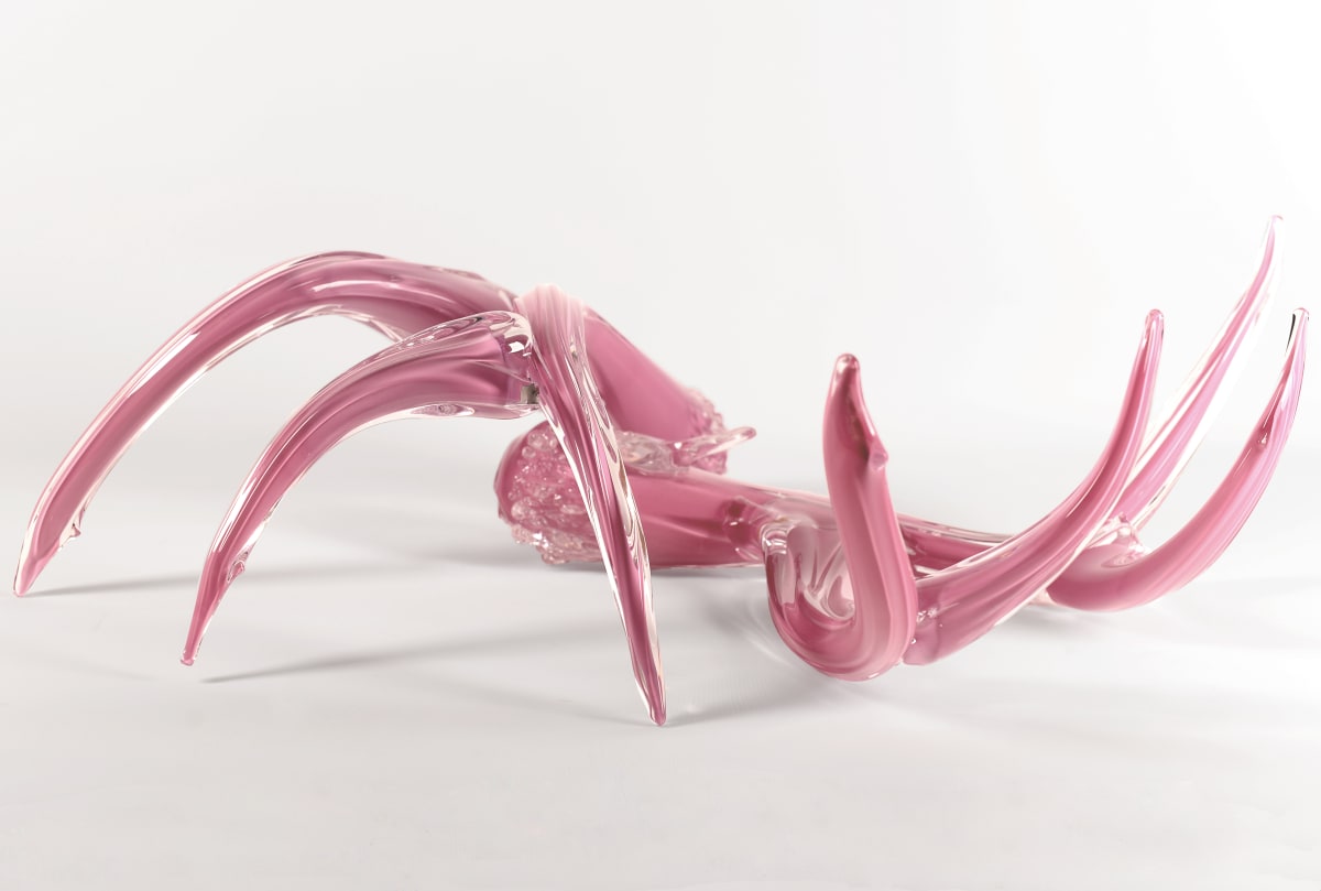 Antler Set Pink, Image 1.