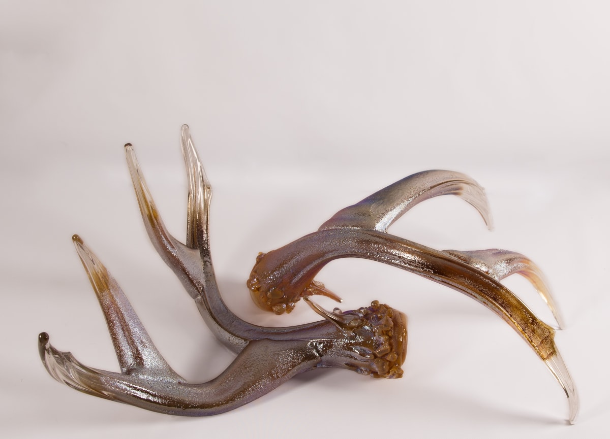 Antler Set Clear w/Metallic by North Rim Glass Jared & Nicole Davis 