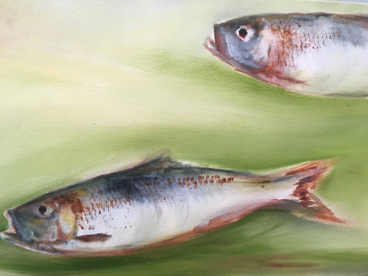 Two Fish by Marston Clough 