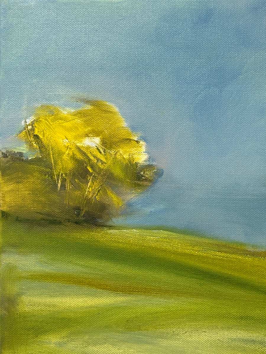 Overlook by Marston Clough 