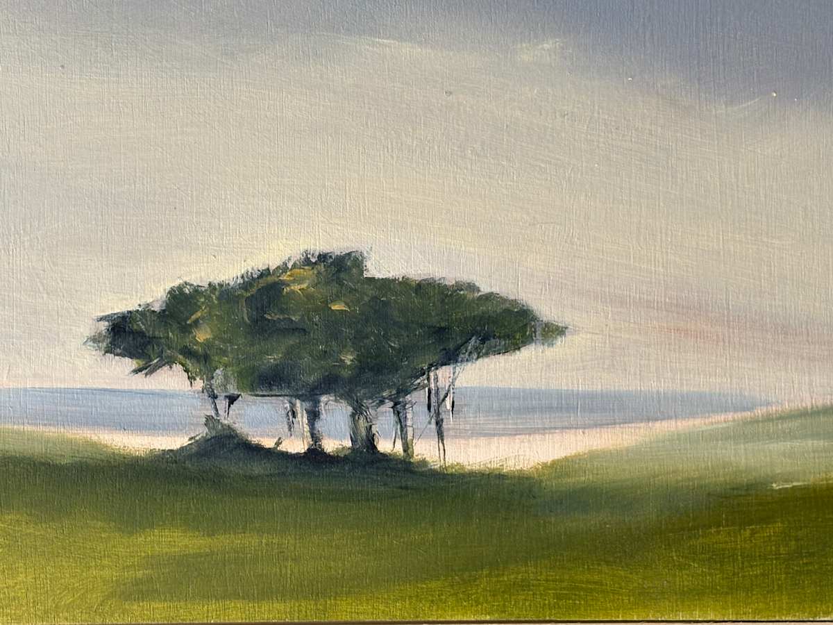 Chappy by Marston Clough 
