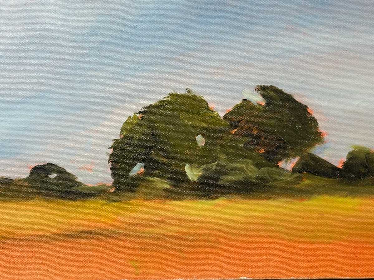 Quansoo, out painting with my friends by Marston Clough 