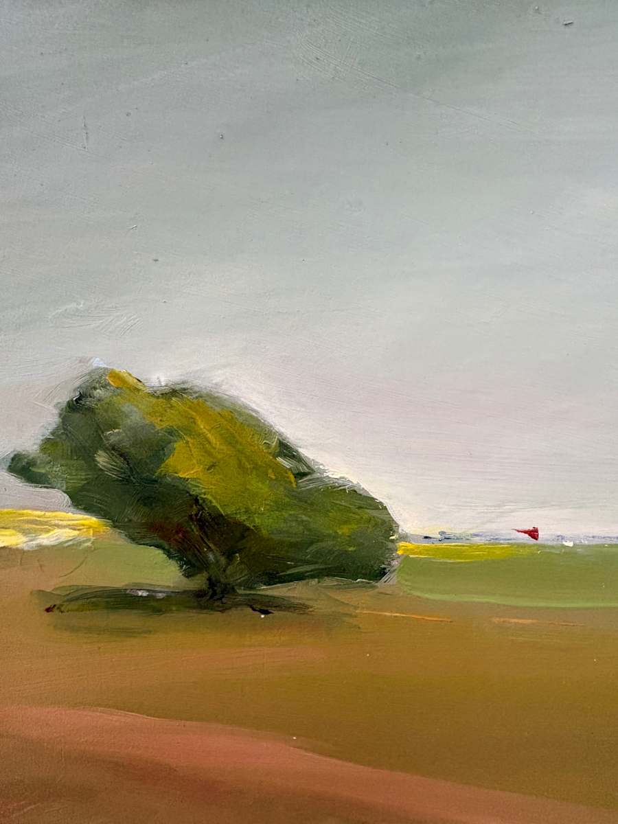 Quansoo Tree by Marston Clough, Image 1.