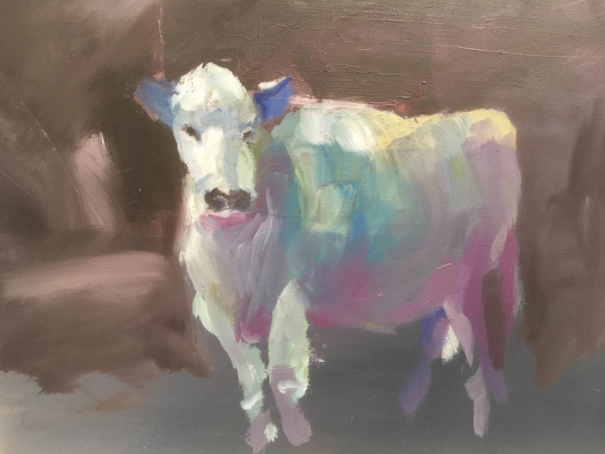 Winter cow by Marston Clough, Image 1.