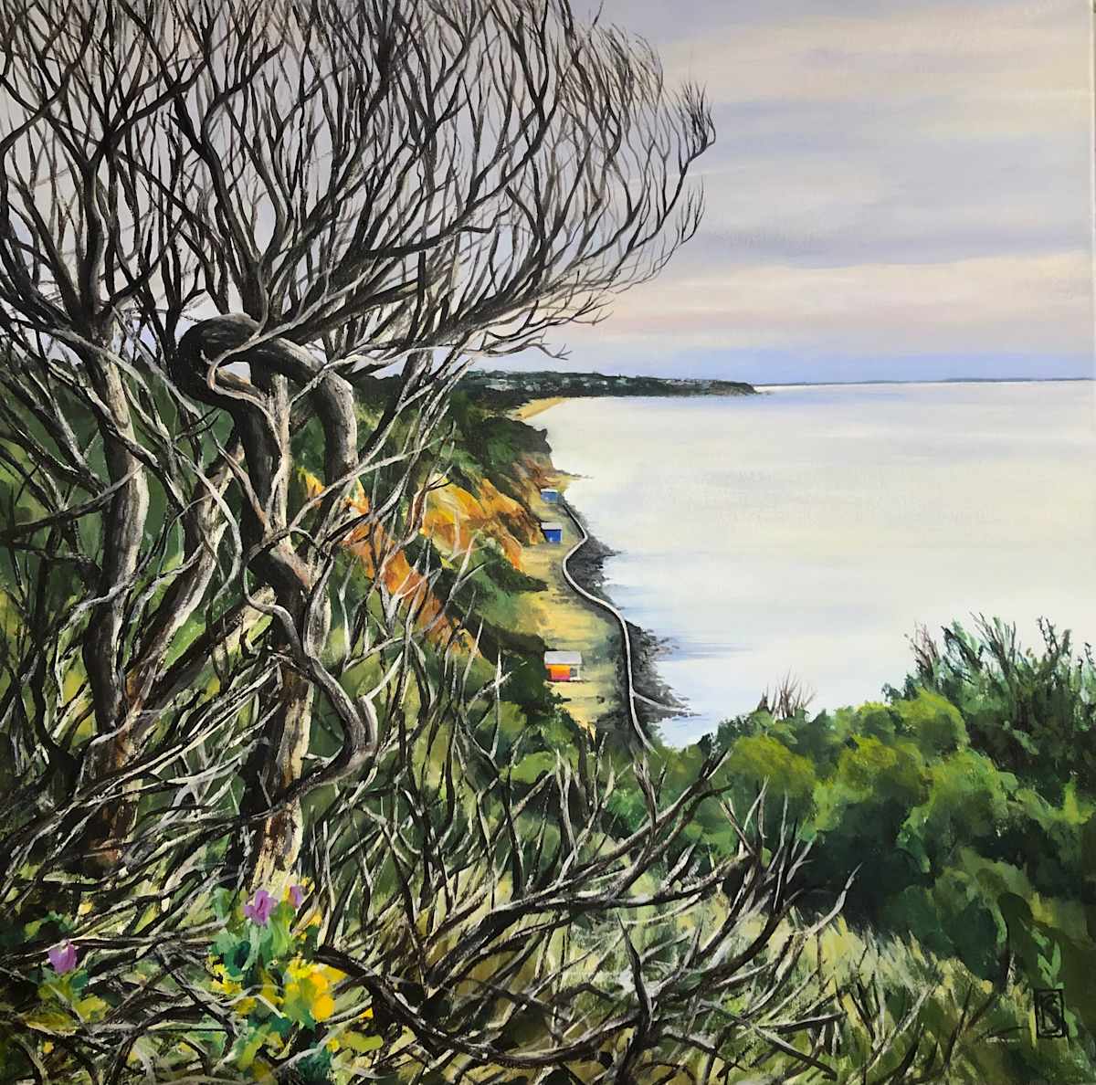Evening Cliff Top Walks - Mount Martha by Rosalie Street 