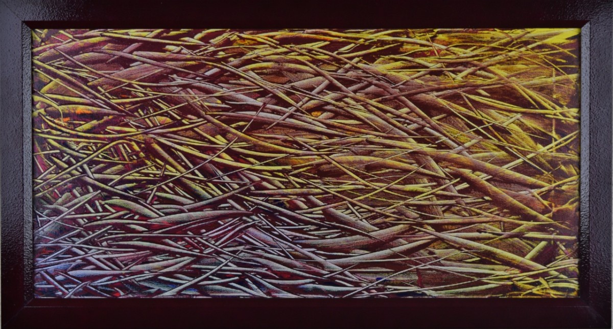 The Hawks Nest by Curtis Frederick 