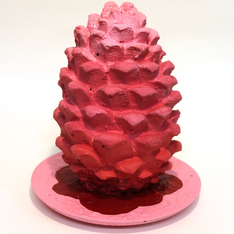 variations of a pine cone - pink by Marina Lutz 