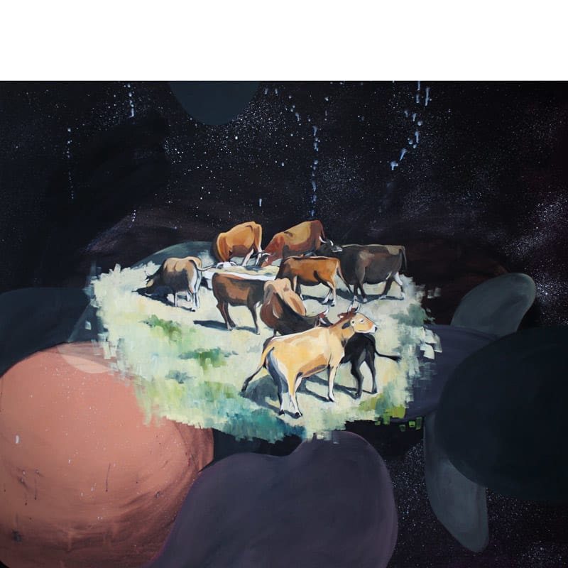 Cows in Space by Marina Lutz 