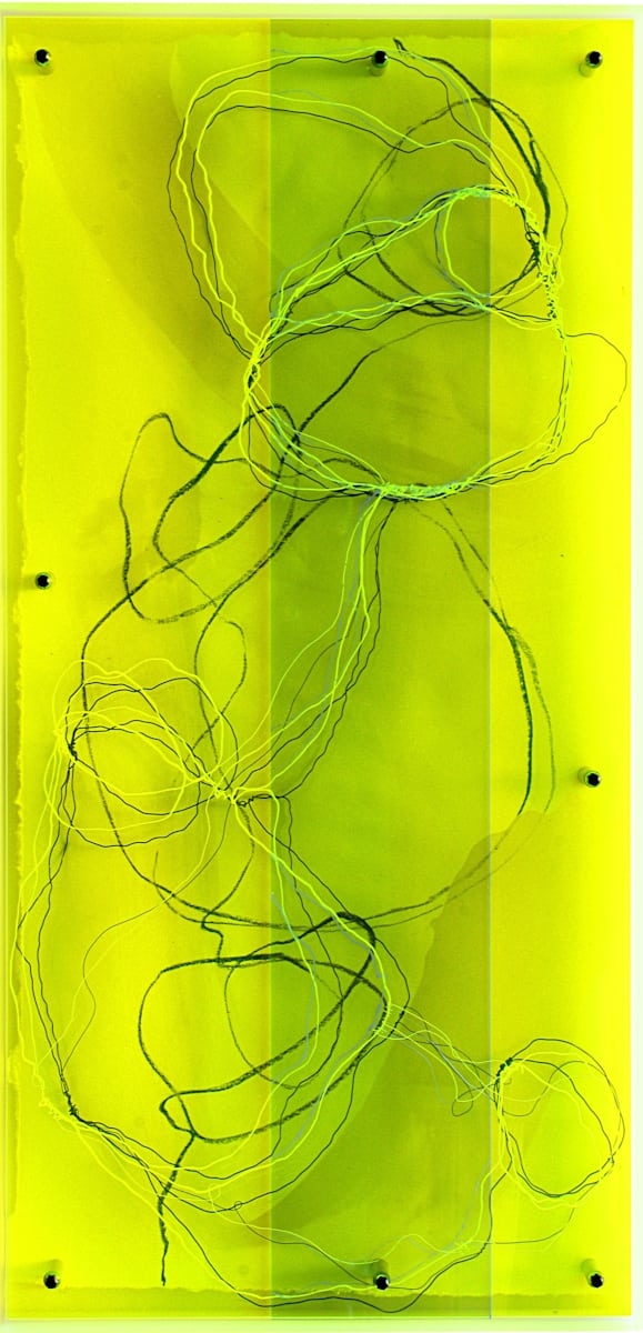 Plexi 5 by Sonja Schmid 
