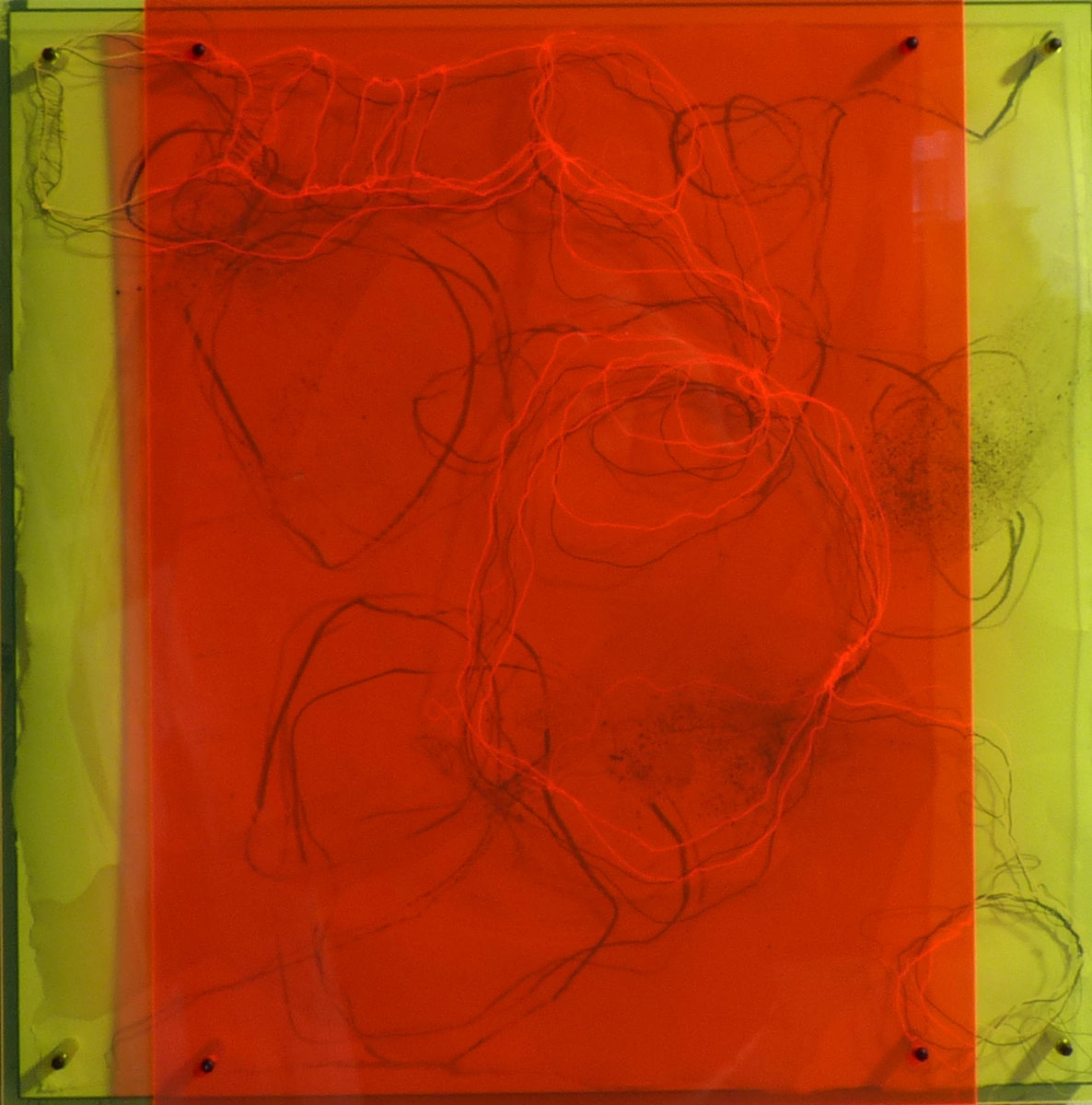 Plexi 8 by Sonja Schmid, Image 1.
