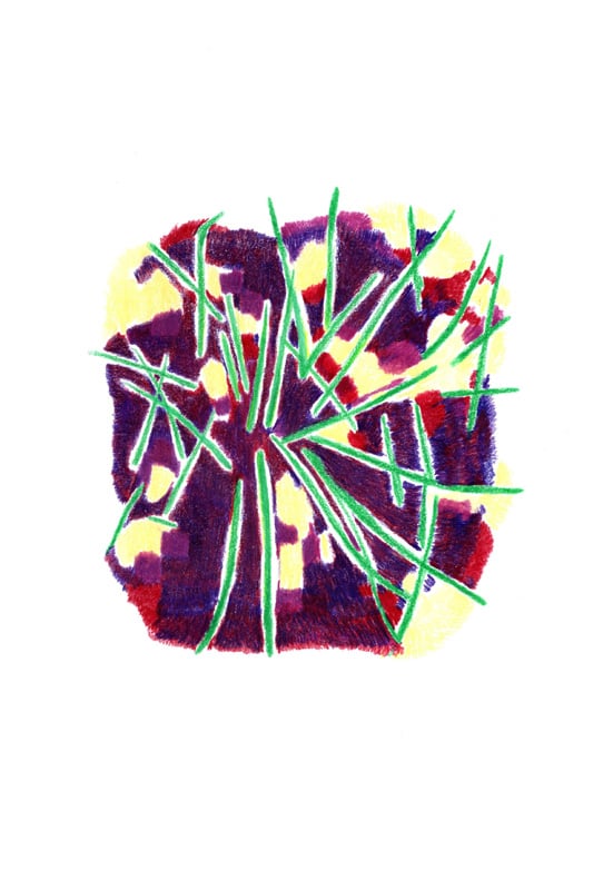 Sommergewebe 2 by Barbara Tresch-Stuppan, Image 2.