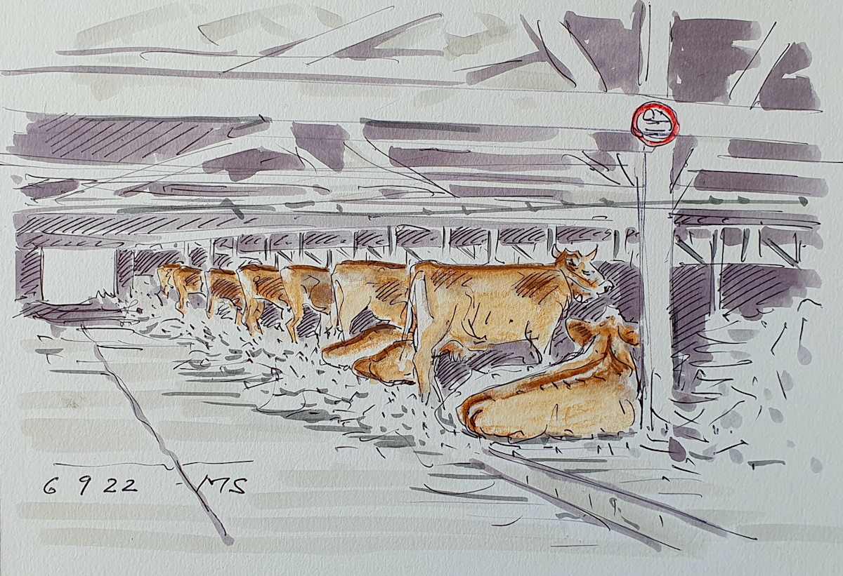 Stierenmarkt Stall by Martin Spillmann 