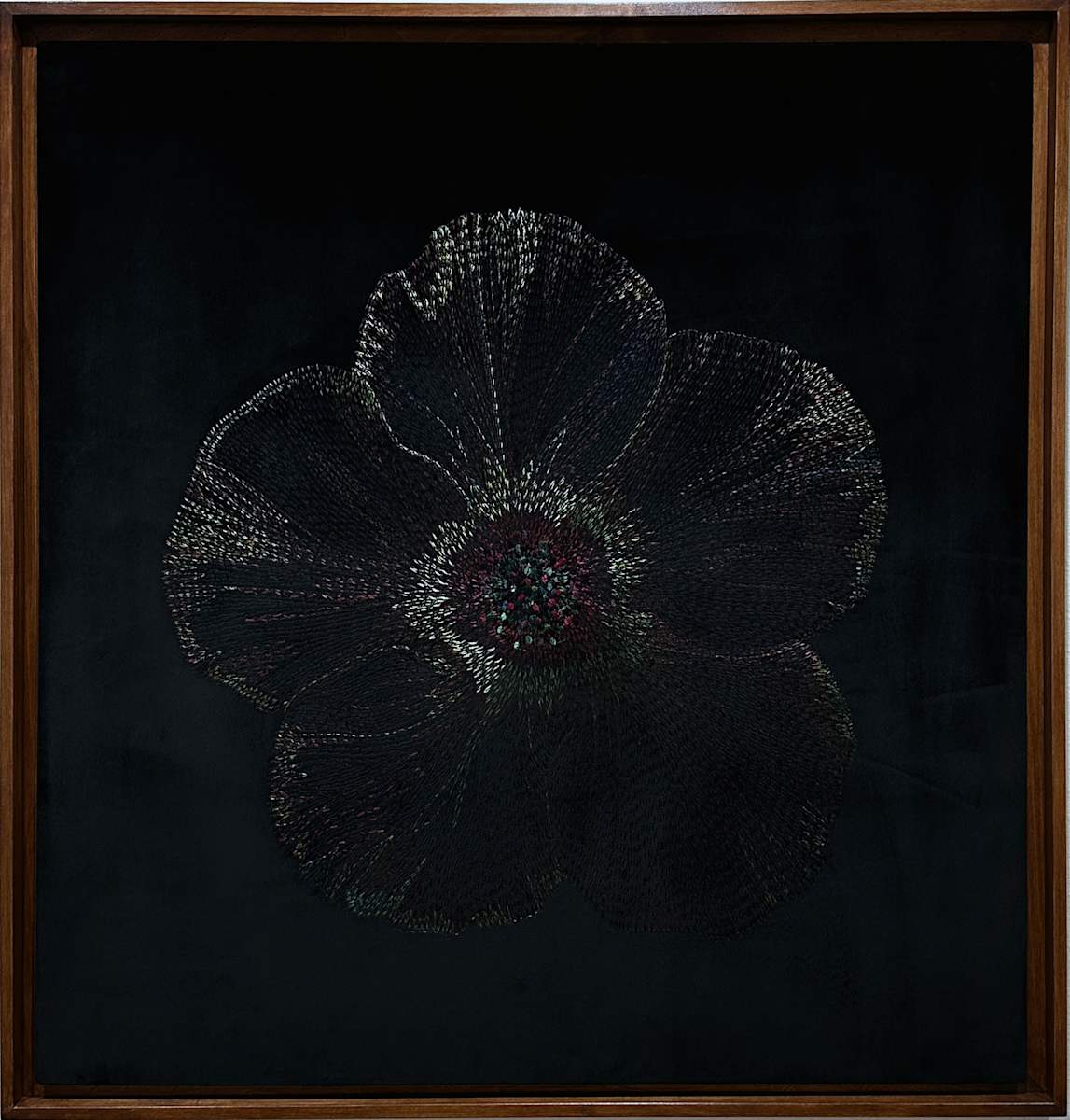 Velvet Tulipa II by Ursula Waldburger 