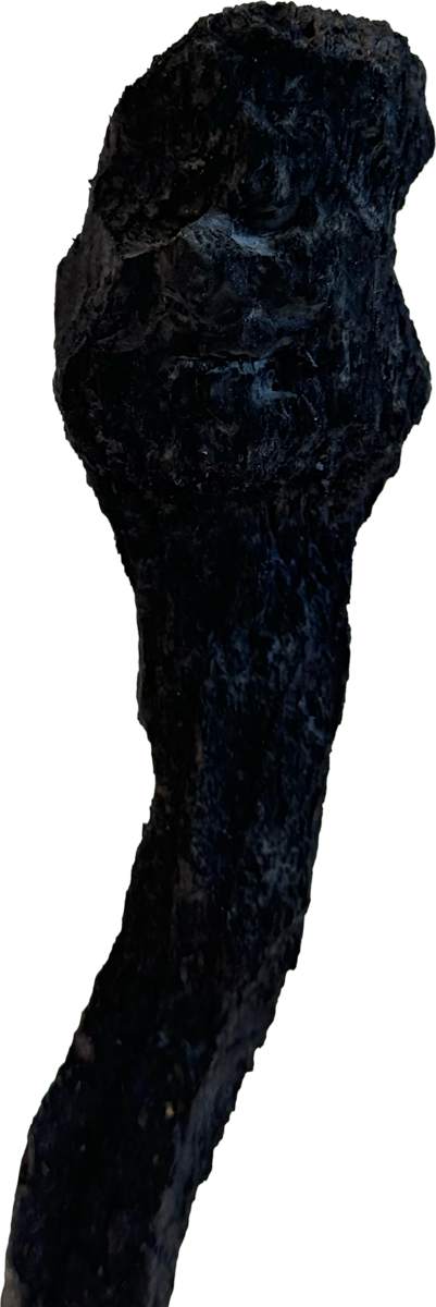 Züsli Nr. 75 by Daniel Züsli 