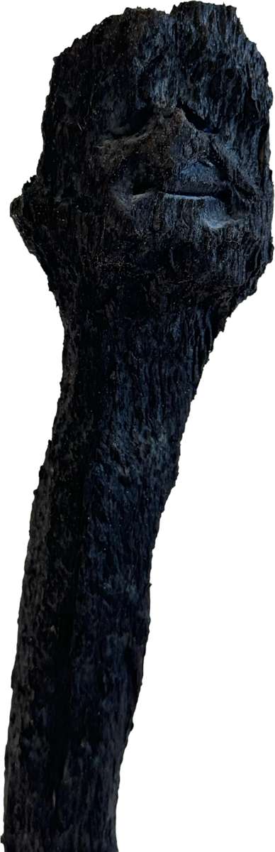 Züsli Nr. 80 by Daniel Züsli 