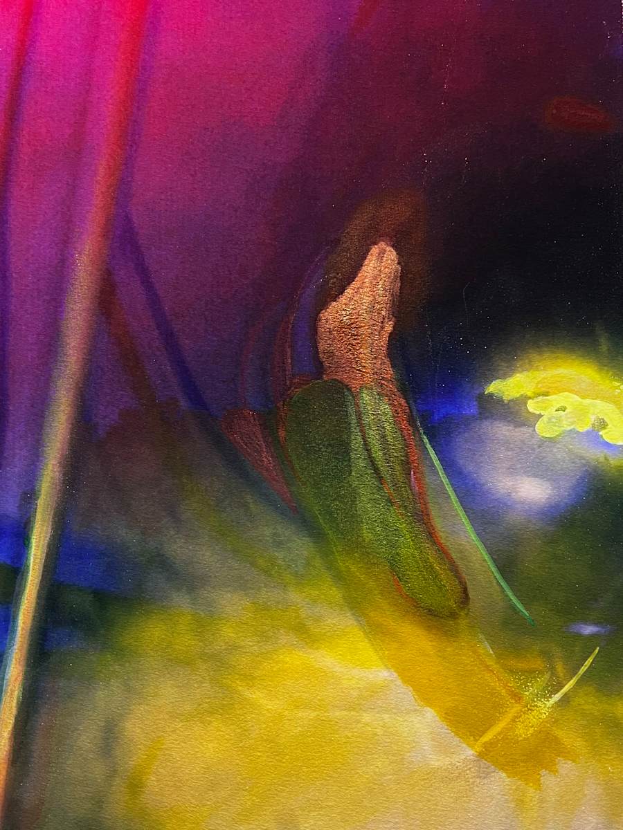 spinoff out of scope 1 by Marina Hauser 