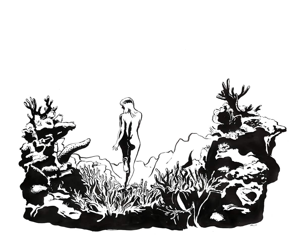 Venus Land by Marina Lutz 
