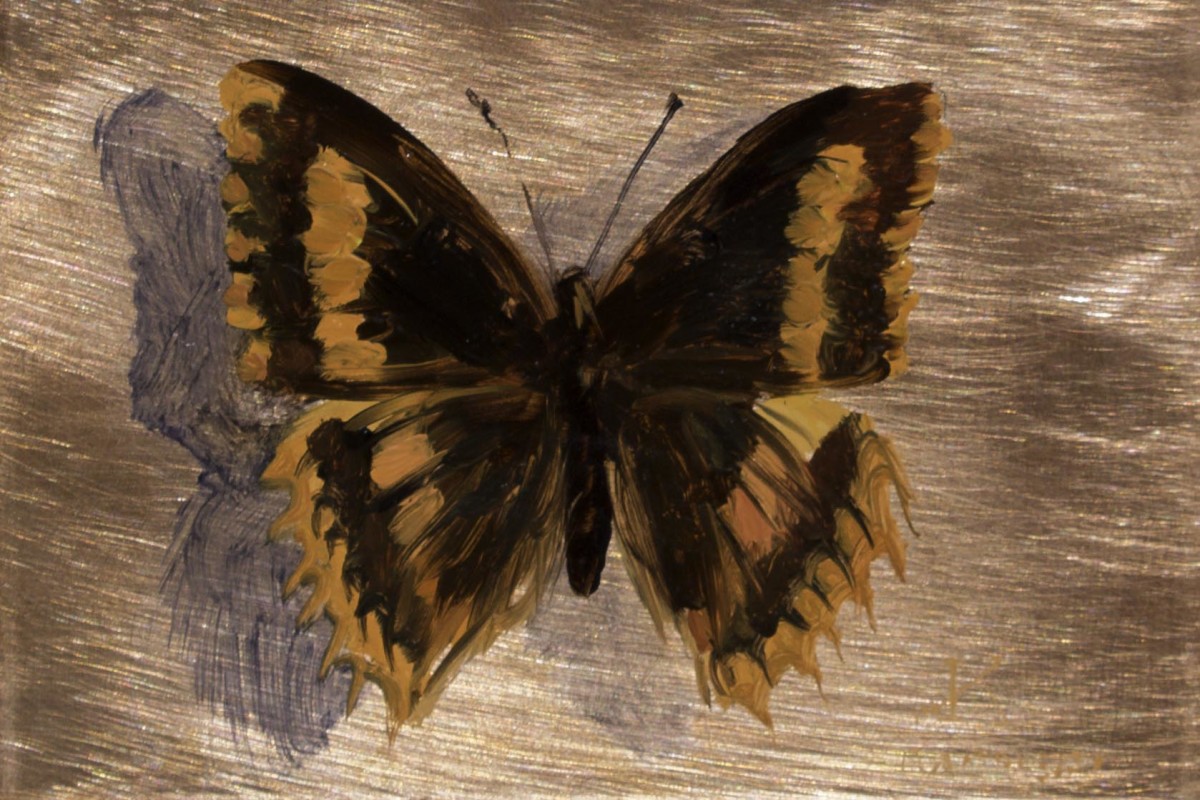 Tribute Butterfly #5 by Kim Randleas, Image 1.