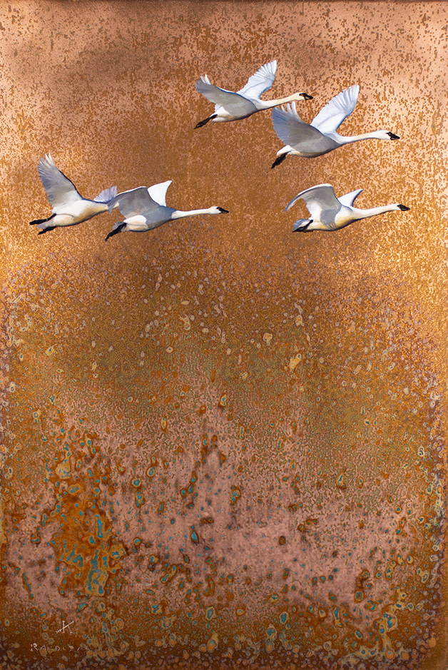 Suspended by Kim Randleas, Image 1.