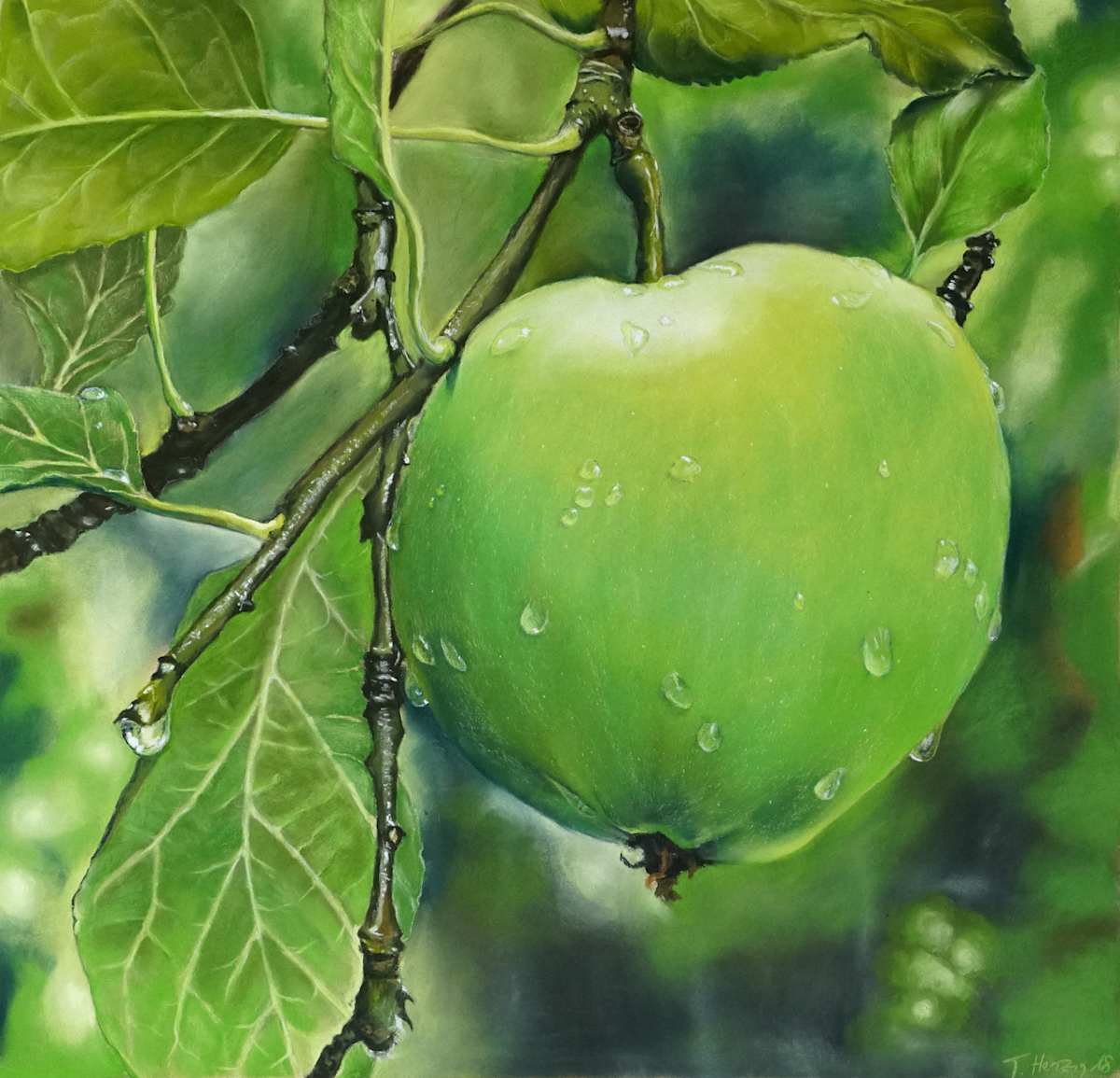 Apfel by Thea Herzig, Image 1.