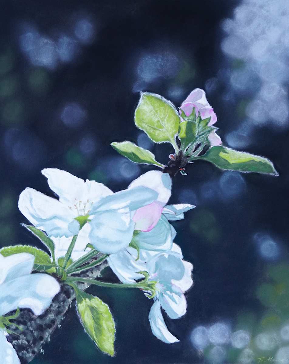 Apfelblüte by Thea Herzig, Image 1.