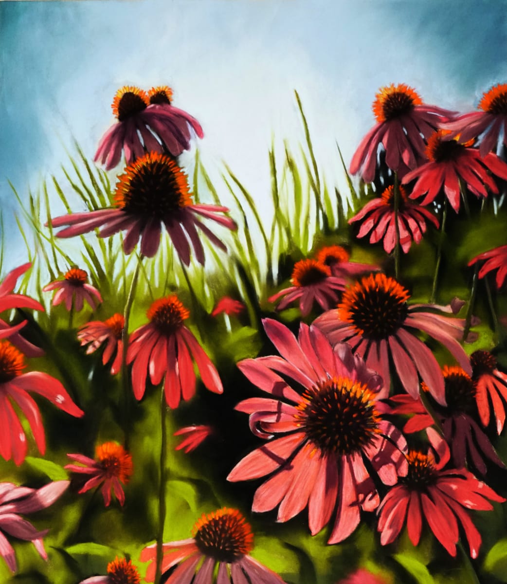 Echinacea by Thea Herzig 