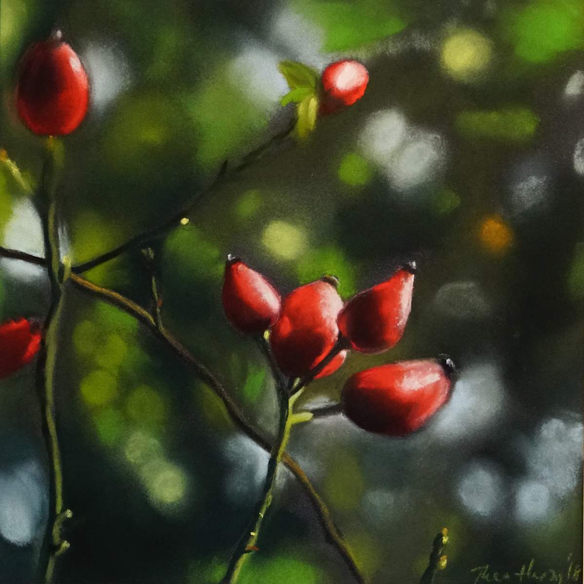 Hagebutte 2 by Thea Herzig, Image 1.