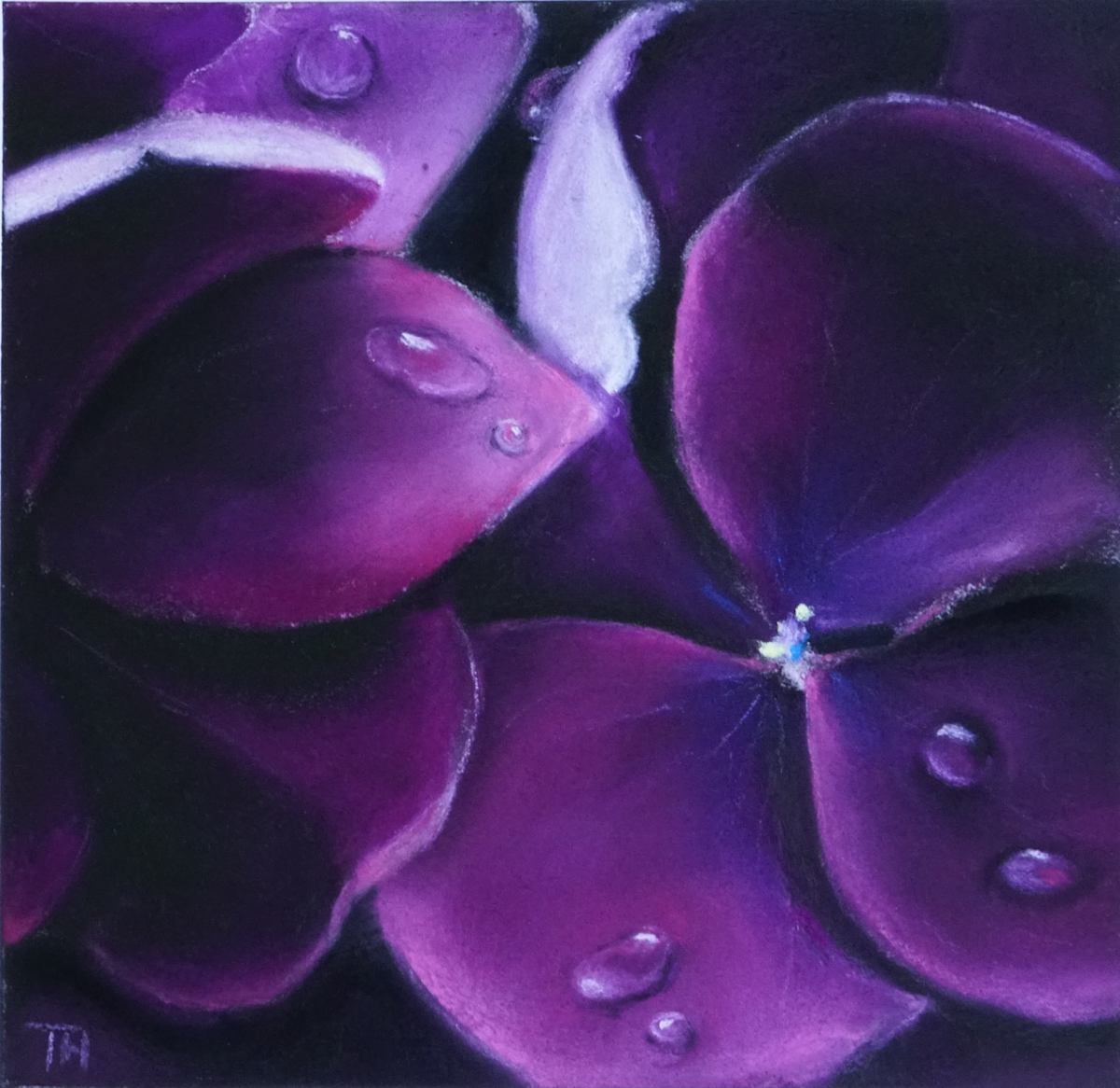 Hydrangea 2 by Thea Herzig, Image 1.