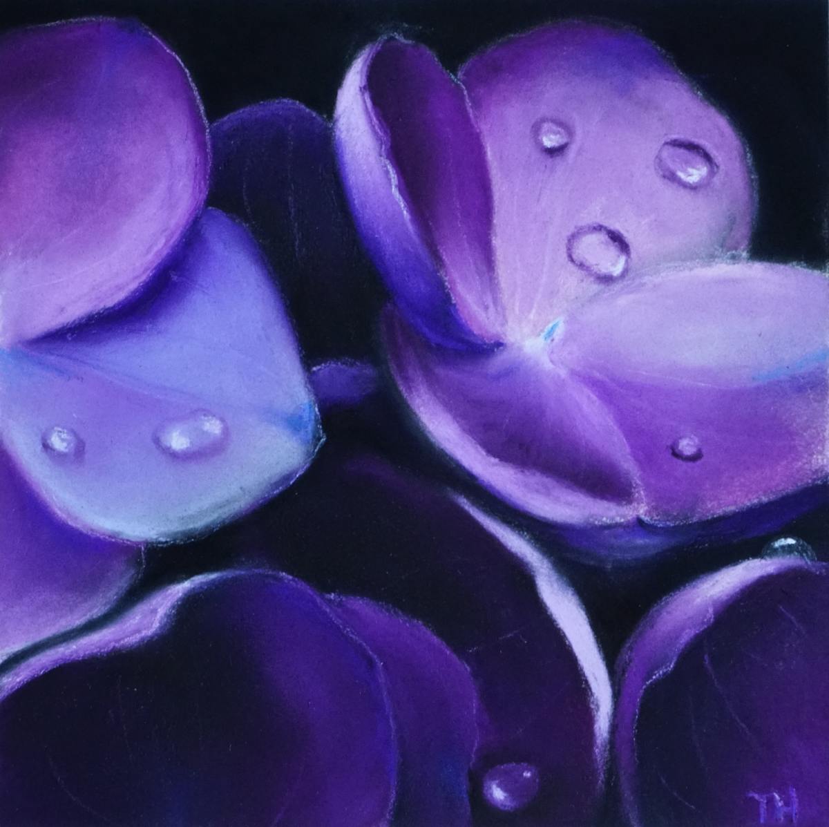 Hydrangea 3 by Thea Herzig, Image 2.