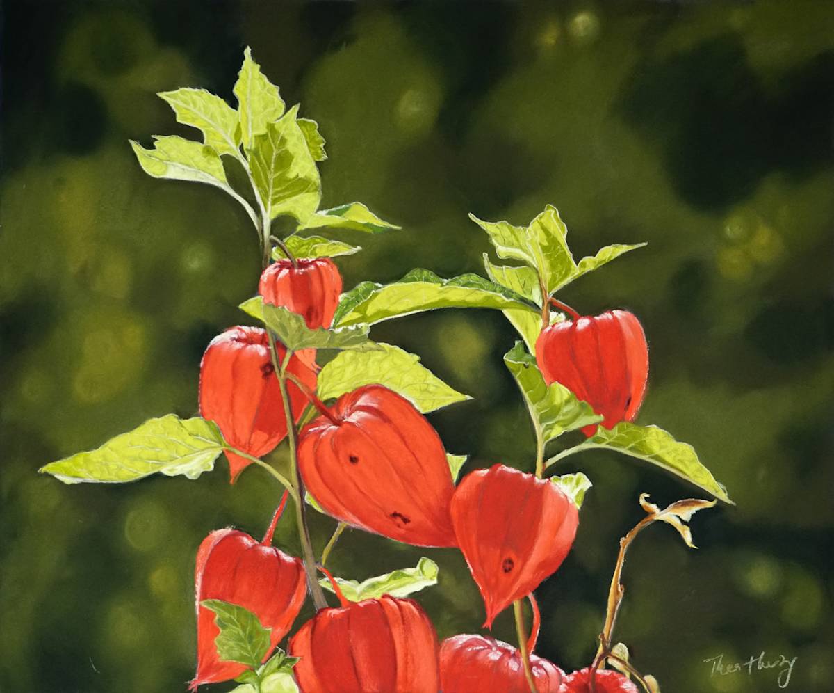 Physalis by Thea Herzig, Image 1.
