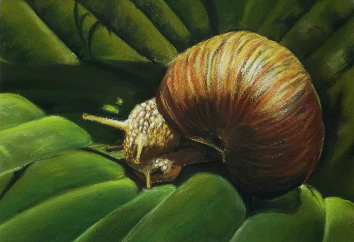 Aus dem Häuschen! by Thea Herzig, Image 1.