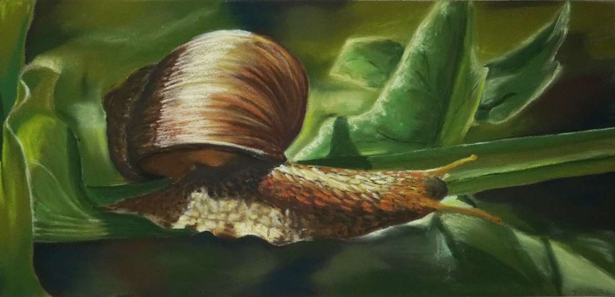 Balancekünstlerin by Thea Herzig, Image 1.