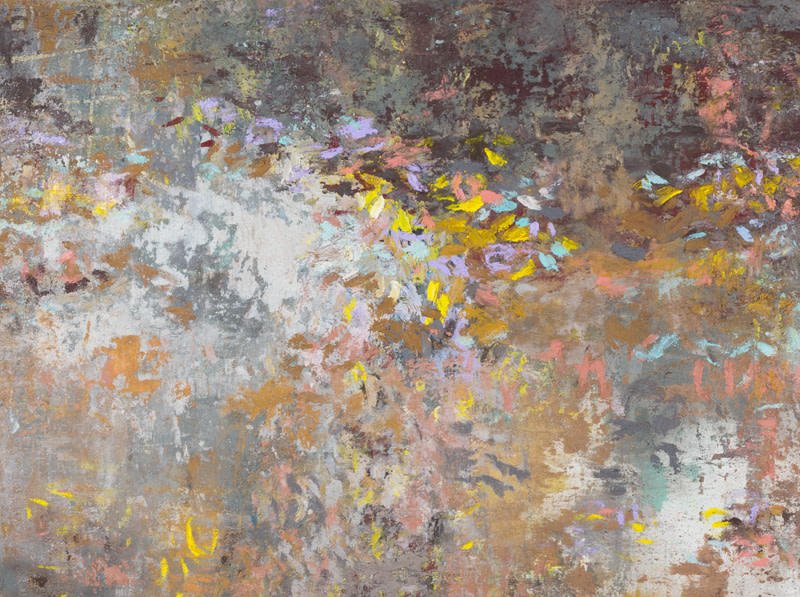 New Day by AMY DONALDSON 