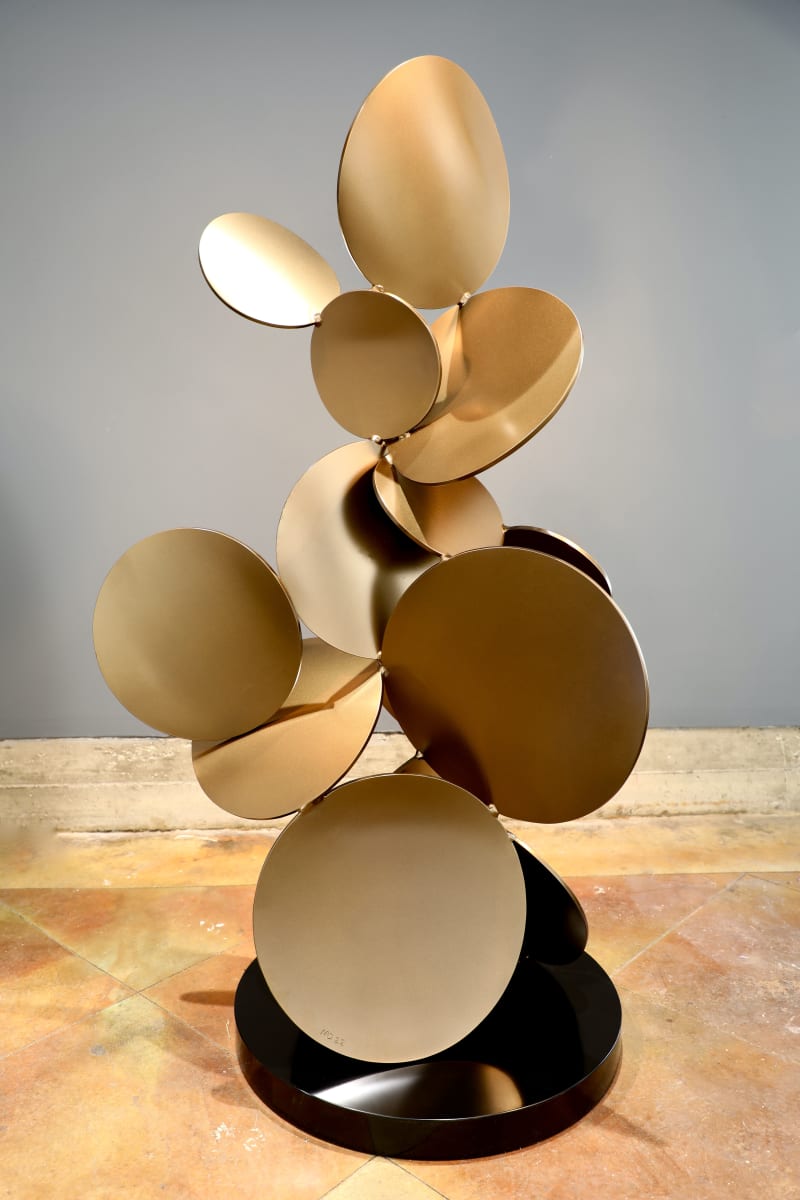 Sarcomere #2 by Matt Devine, Image 2.